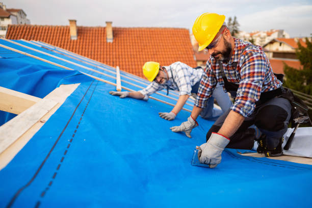 Best Green or Eco-Friendly Roofing Solutions  in Bellwood, IL