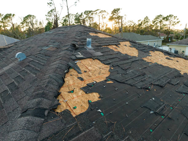 Best Commercial Roofing Services  in Bellwood, IL
