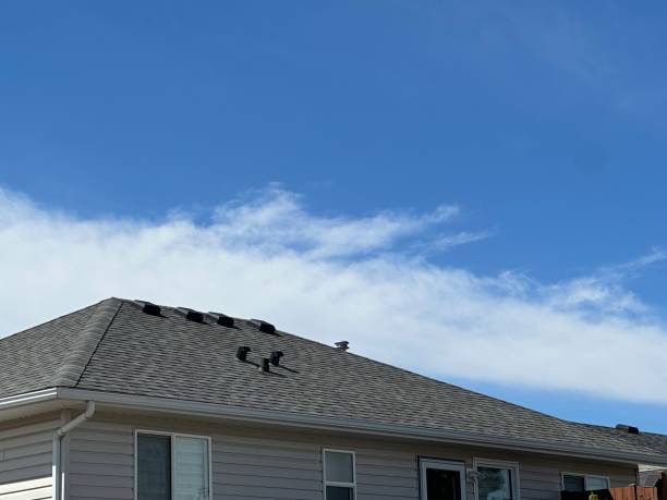 Best Solar Panel Roofing Installation  in Bellwood, IL